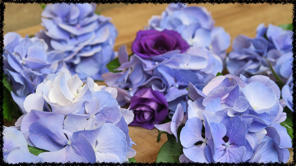 wedding bouquet hydrangea button holes